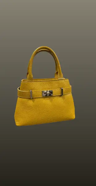 Geanta eleganta mustar 2in1