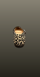 Balerini leopard cu barete