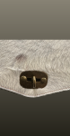 Geanta Bhavna-beige