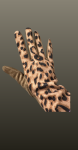 Manusi- animal print