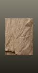 Esarfa micromodal- beige