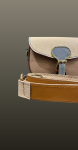 Geanta mica postas beige- multicolor