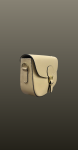 Geanta medie tip postas- nude